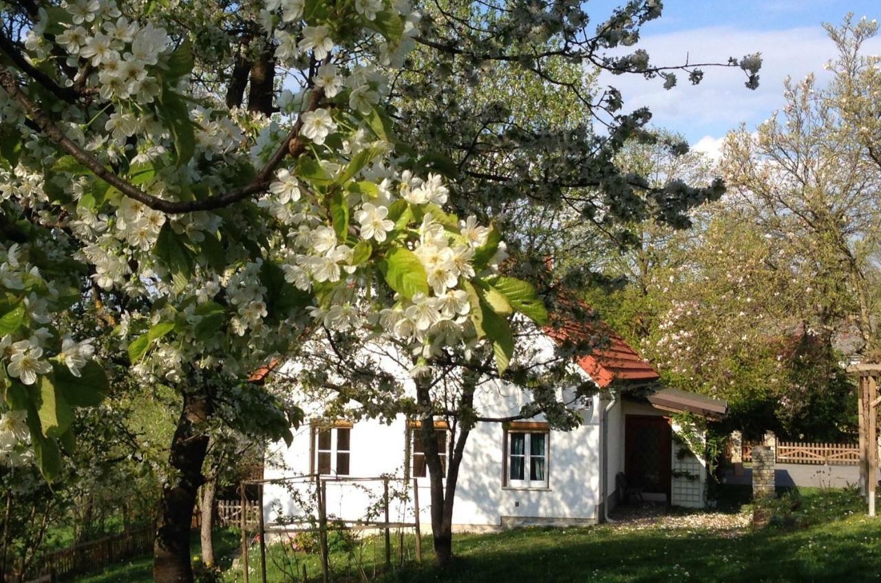 Ferienhaus Koller Güssing Exterior foto